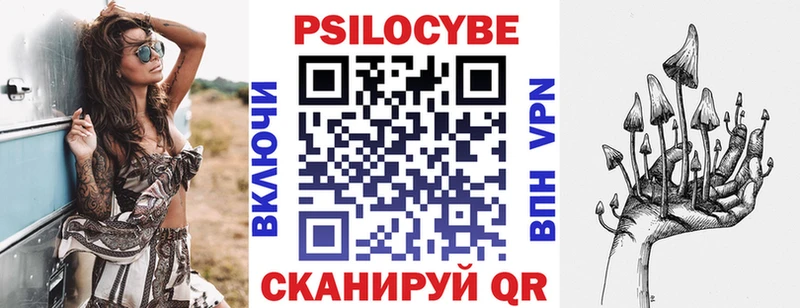 как найти закладки  Камышин  Галлюциногенные грибы прущие грибы 