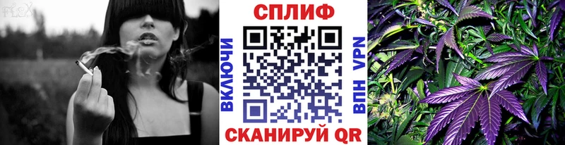 МАРИХУАНА план  Камышин 